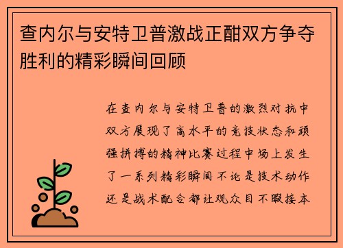 查内尔与安特卫普激战正酣双方争夺胜利的精彩瞬间回顾